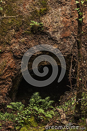 Entrance to a small cave with a thin tree in the French Pyrenees mountains Stock Photo