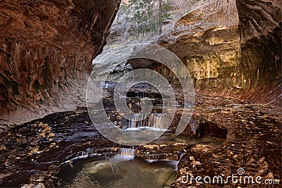 Entrance to The Subway, Zion National Park Stock Photo