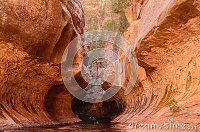 Entrance to the Subway in Zion National Park Stock Photo