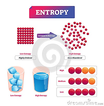 Entropy vector illustration. Diagram with potential measurement of disorder Vector Illustration