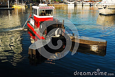 Enviornmental Worker in the water Editorial Stock Photo