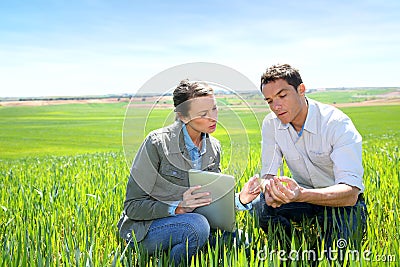 Environment and agriculture Stock Photo