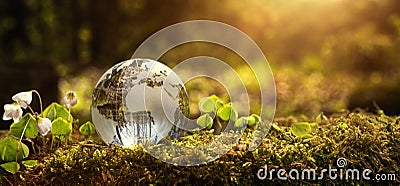 Environment conservation concept Stock Photo