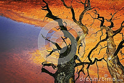 Environment destruction climate change Stock Photo