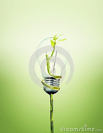 Environment friendly bulb Stock Photo