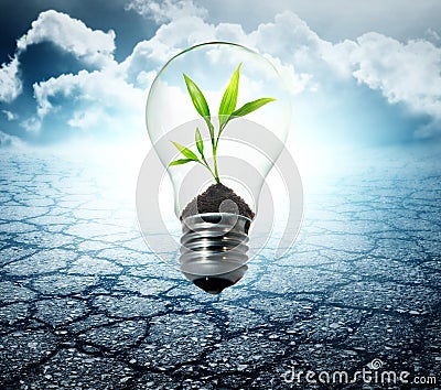 Environment friendly bulb Stock Photo