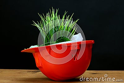 Environmental friendly Stock Photo