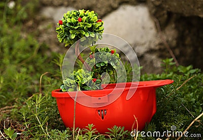 Environmental friendly Stock Photo