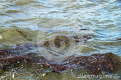 Environmental pollution, garbage floating in the sea Stock Photo