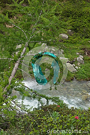 Party balloon hanging in tree Stock Photo