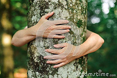 Environmentalist tree hugger is hugging wood trunk in forest Stock Photo