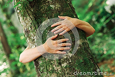 Environmentalist tree hugger is hugging wood trunk in forest Stock Photo