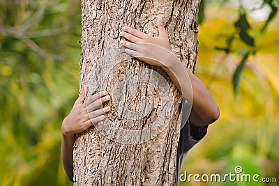 Environmentalist tree hugger is hugging wood trunk in forest, female arms hugging the tree Stock Photo