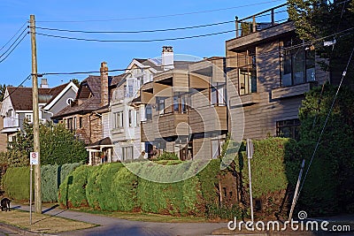 Environmentally friendly cedar plank houses Stock Photo