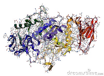 Enzyme Alpha-Amylase Stock Photo