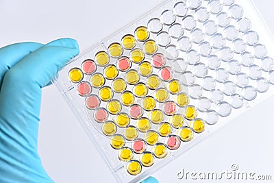 Enzyme-linked immunosorbent assay or ELISA plate Stock Photo