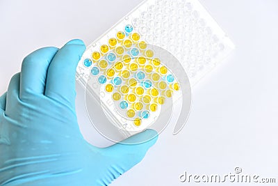 Enzyme-linked immunosorbent assay or ELISA plate Stock Photo