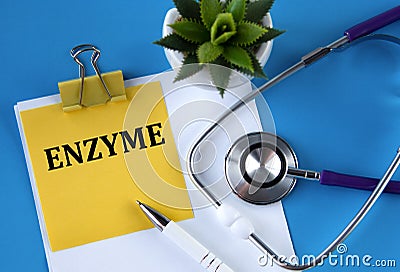 ENZYME - word on a yellow notebook on a blue background with a stethoscope and a cactus Stock Photo