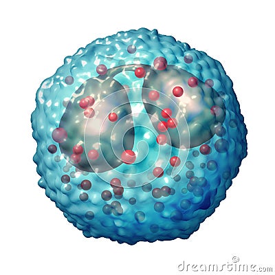 Eosinophil Cell Anatomy Cartoon Illustration