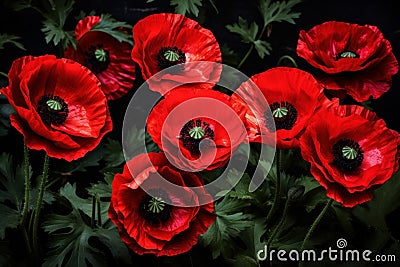 Ephemeral Red poppy flowers. Generate Ai Stock Photo
