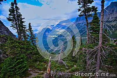 Paradise Meadow Going to the Sun Road Glacier National Park Stock Photo