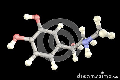 Epinephrine molecule, a hormone produced by adrenal gland Cartoon Illustration