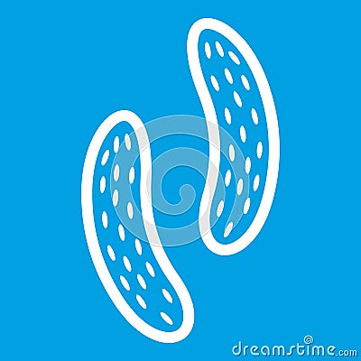 Epithelial cell icon white Vector Illustration
