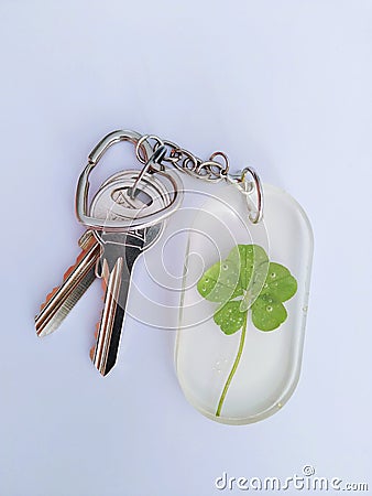 Epoxy steel keychain with rare five leaf clover Stock Photo