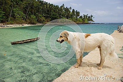 Equator Beach Stock Photo