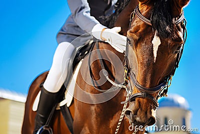 Equestrian feeling a little bit worried before participating in horserace Stock Photo