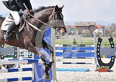 Equestrian jumping on brown horse Stock Photo