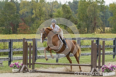 Equestrian jumps gelding over simple fence Stock Photo
