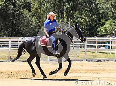 Equestrian performance in paradise country aussie farm,gold coast,australia Editorial Stock Photo