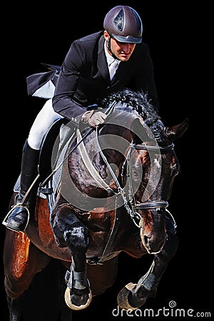 Equestrian: rider with bay horse in jumping show, isolated Stock Photo