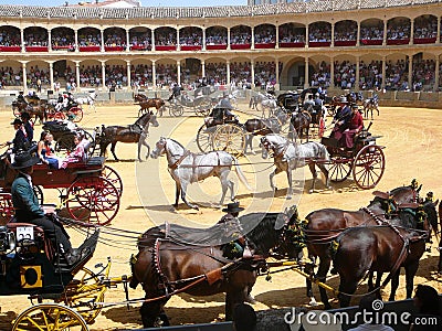 Equestrian show at Ronda bull ring, Spain Editorial Stock Photo