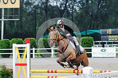 Equestrian showjumping - STC Horse Show 2013 Editorial Stock Photo