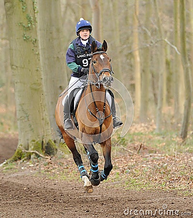 Equestrian sport,galloping horse Editorial Stock Photo