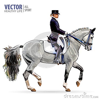 Equestrian sport. Horsewoman jockey in uniform riding horse outdoors. Vector Illustration