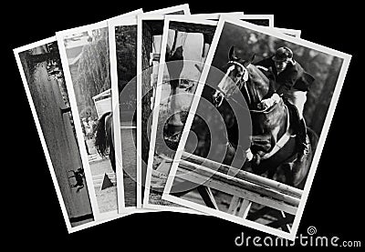 Equestrian: stack of vintage photos Editorial Stock Photo