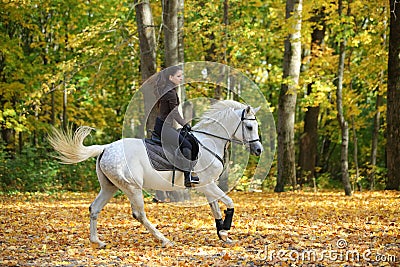 Equestrian woman galloping arabian horse down the path in the autumn evening Stock Photo