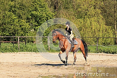 Equestrienne on brown horse in summer Stock Photo
