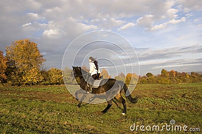 Equestrienne rides. Stock Photo