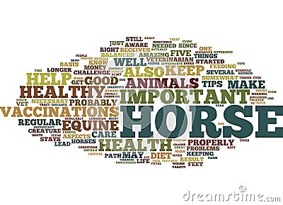 Equine Health Five Tips For A Healthy Horse Text Background Word Cloud Concept Vector Illustration