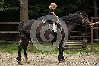 Equine therapy. Girl ride on horse on summer day Stock Photo