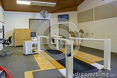 Equine treadmill in hospital Stock Photo