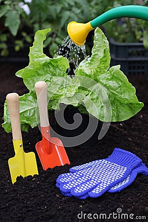 Equipment for gardening Stock Photo