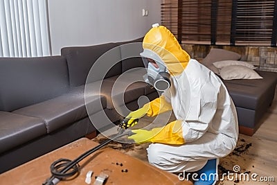 exterminator pest pesticide uniform insect kill control cockroach sofa termite. Generative AI. Stock Photo