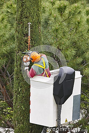 Equipped worker pruning a tree on a crane. Gardening Stock Photo