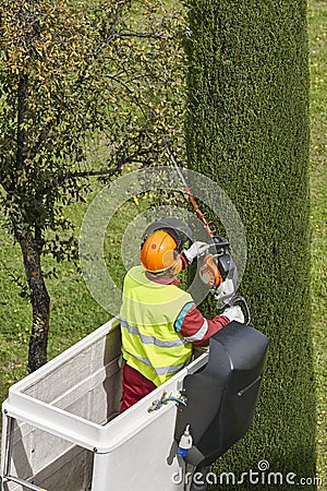 Equipped worker pruning a tree on a crane. Gardening Editorial Stock Photo
