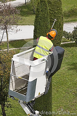 Equipped worker pruning a tree on a crane. Gardening Editorial Stock Photo